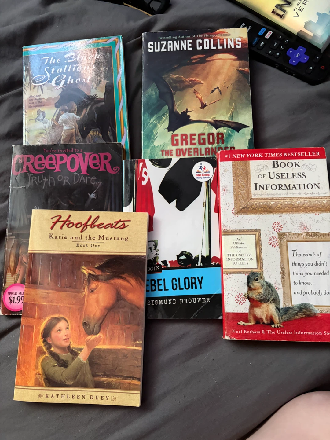 Young adult/Preteen books - photo 4