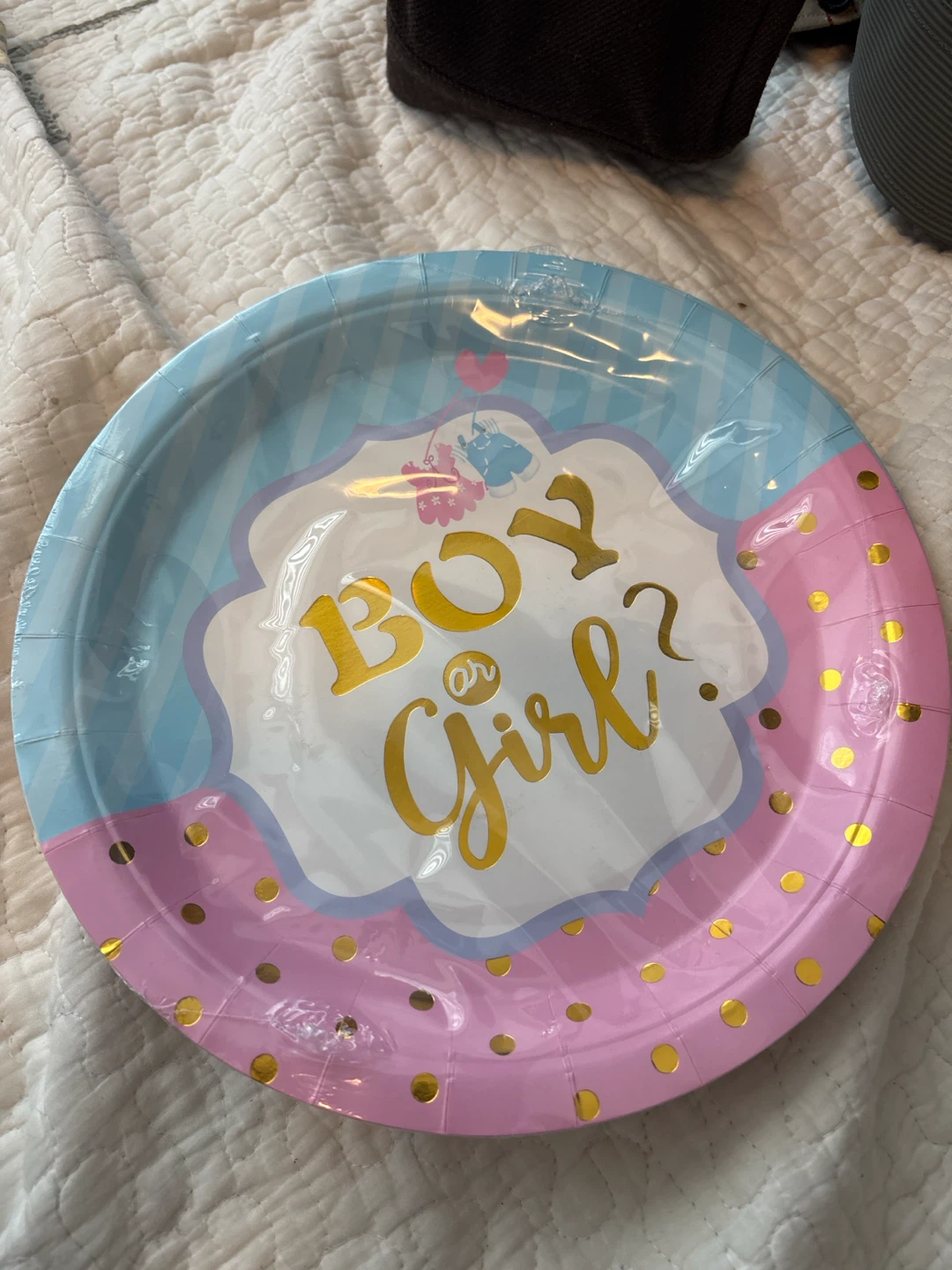 Boy or Girl Gender Reveal Paper Plates