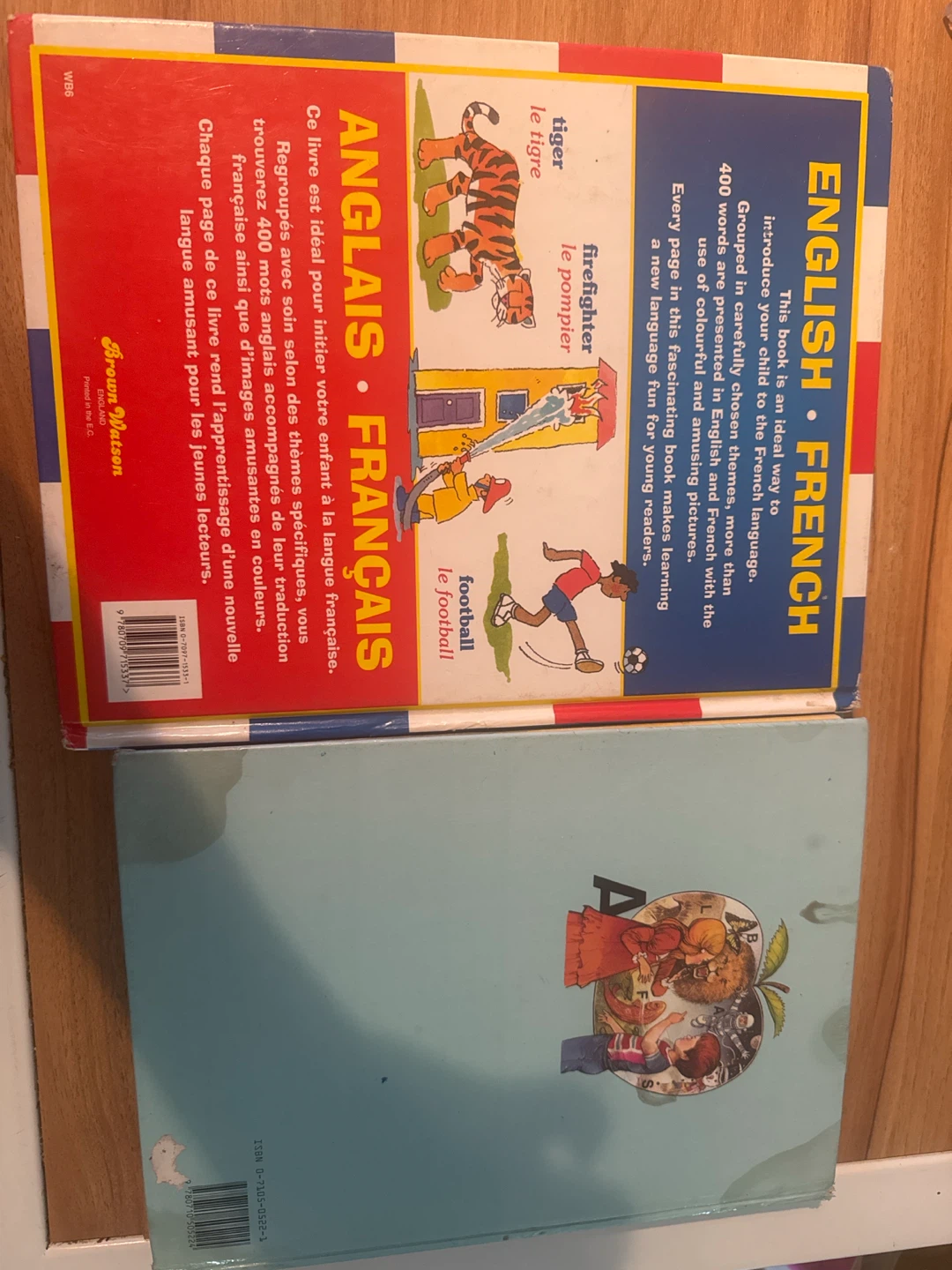 English French Fun With Words & Pictures Picture Dictionary - photo 2