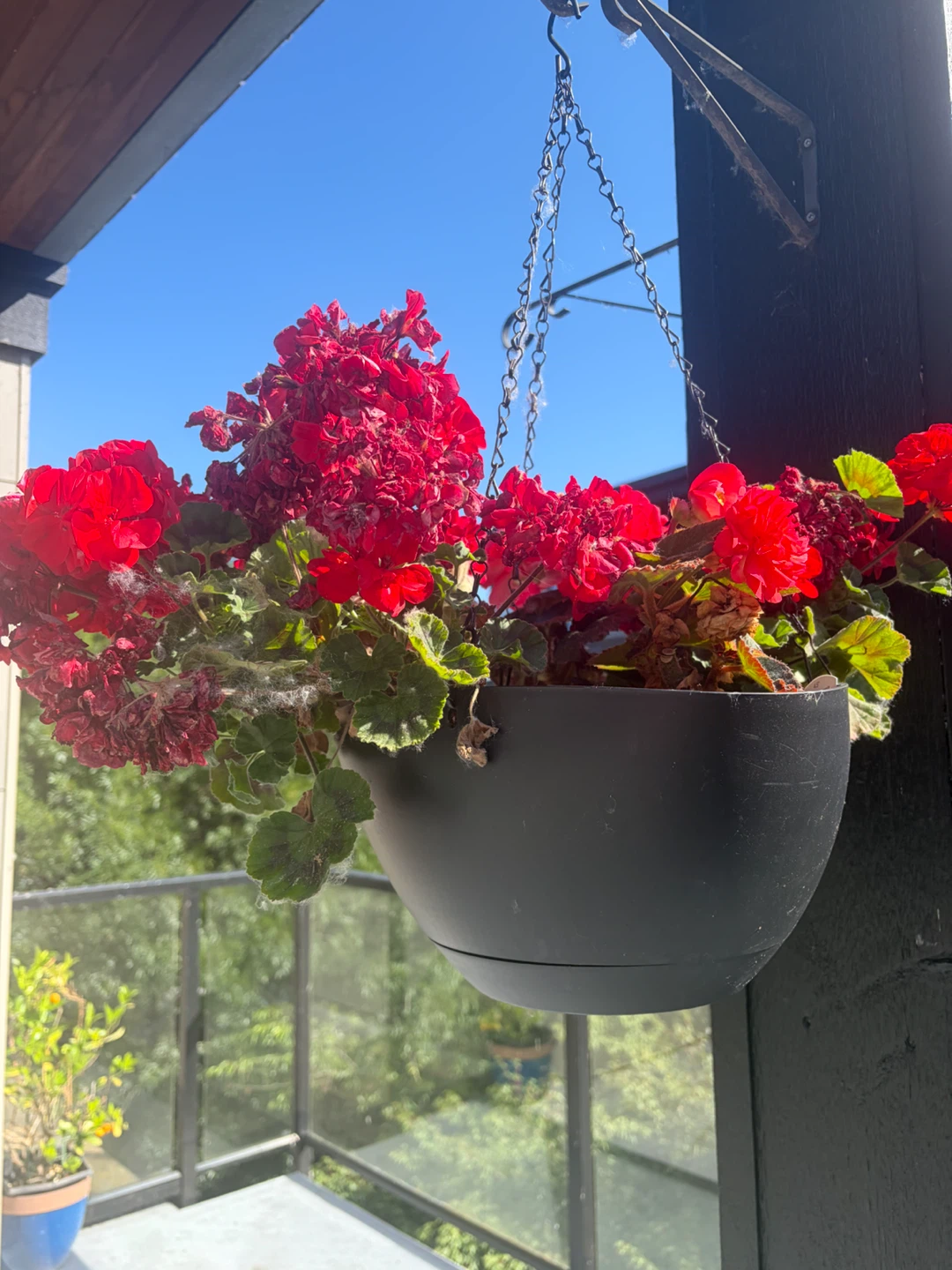 Large planter and hanging planter with plants - photo 2