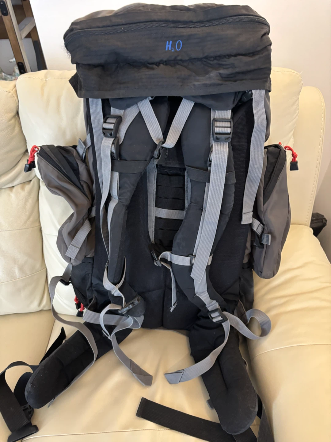 JanSport Klamath 78 Backpack - photo 4