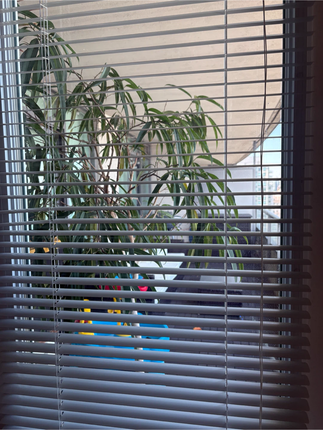 White Horizontal Blinds (very clean) - photo 3