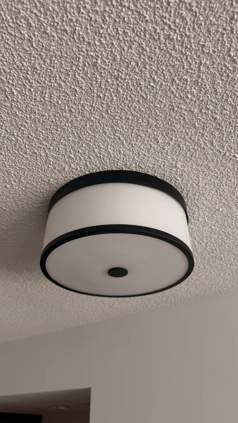 Flush Mount Ceiling Light Fixture