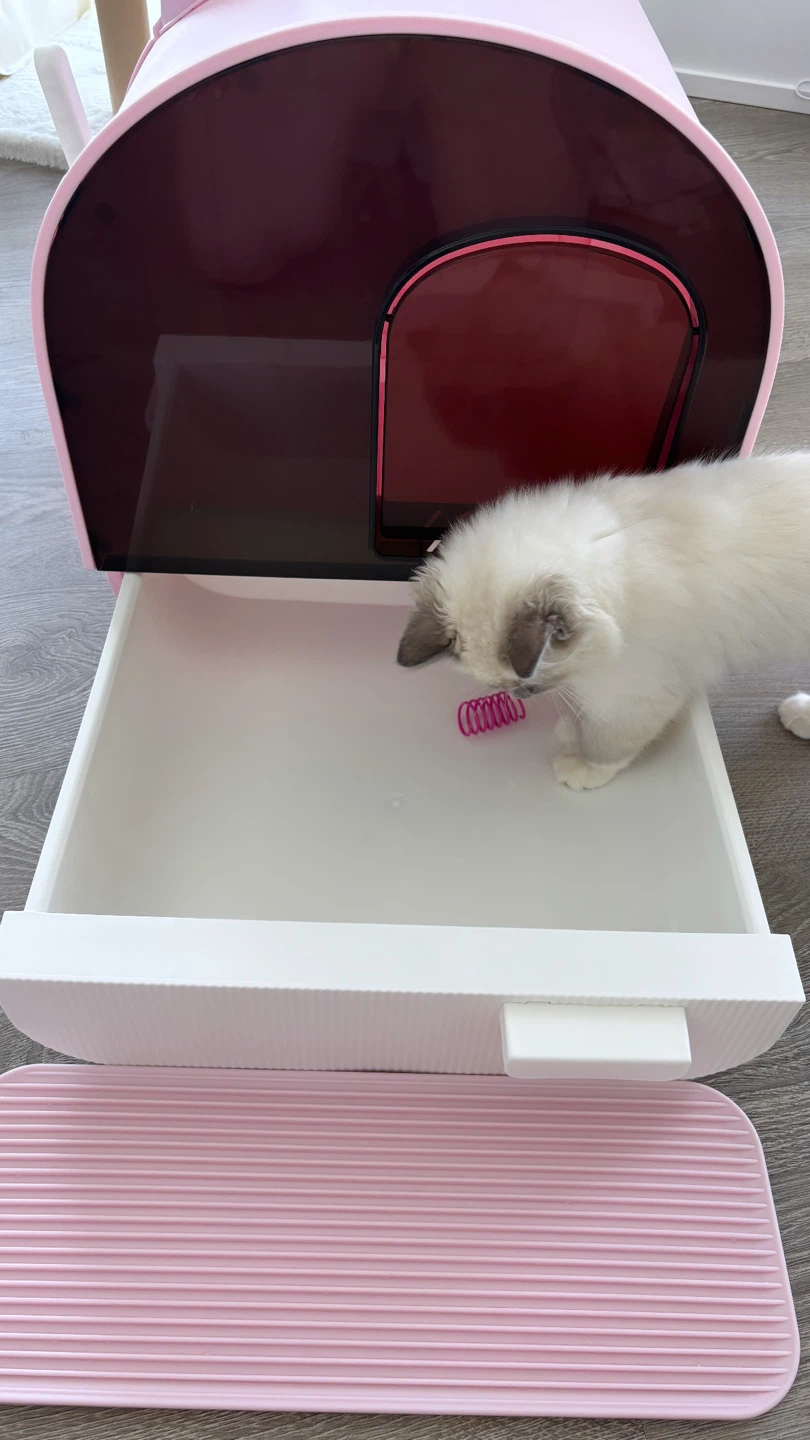 Cute House Cat Litter Box - Pink - photo 4