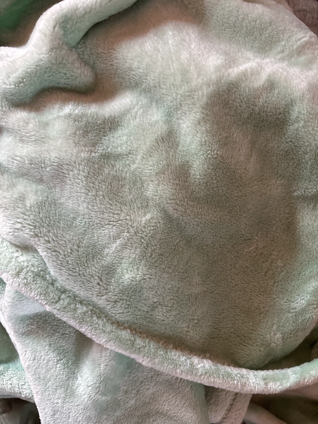 NWOT Kate Spade New York Plush Throw - Mint Green 60x70