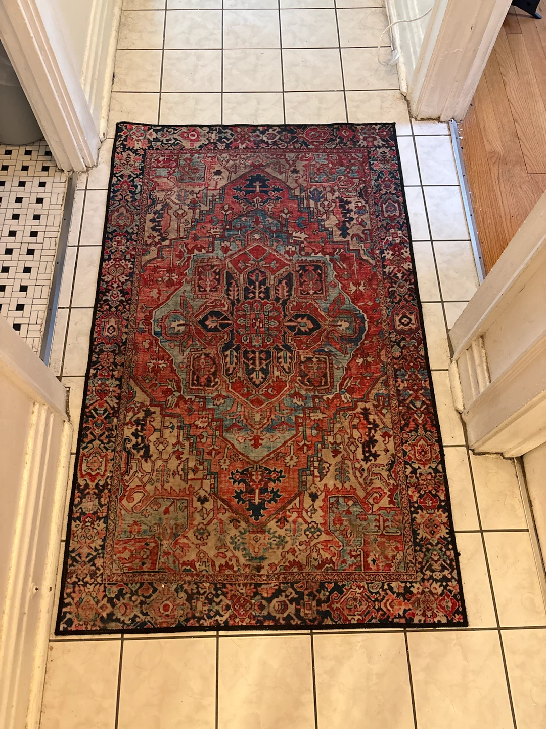 Persian Style Area Rug