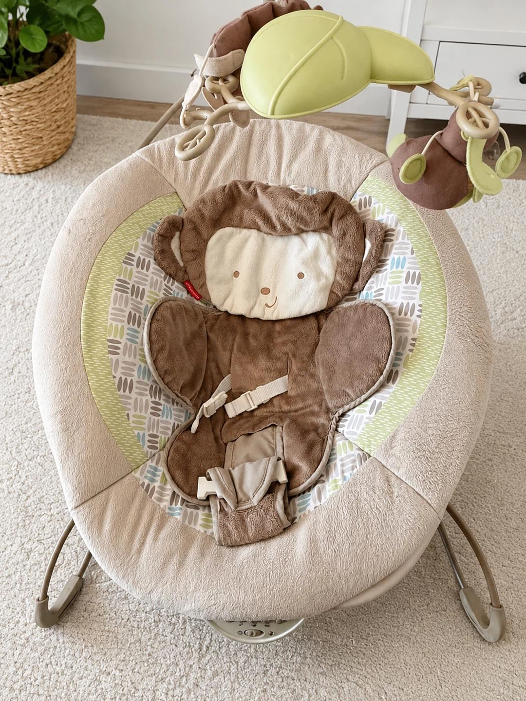 Fisher-Price Bouncer/rocker