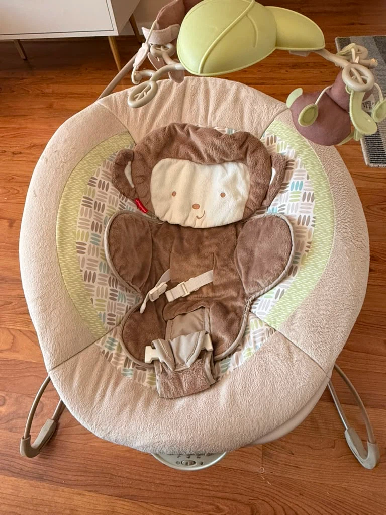 Fisher-Price Bouncer/rocker - photo 2