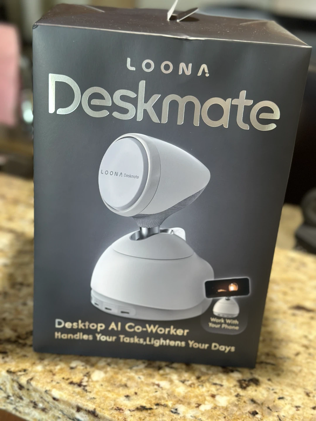 LOONA Deskmate Desktop AI Co-Worker