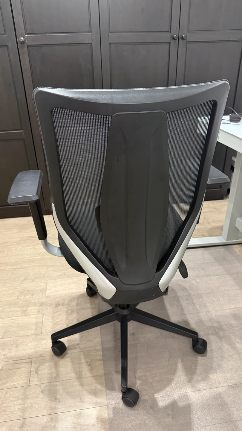 Ergonomic Mesh Office Chair