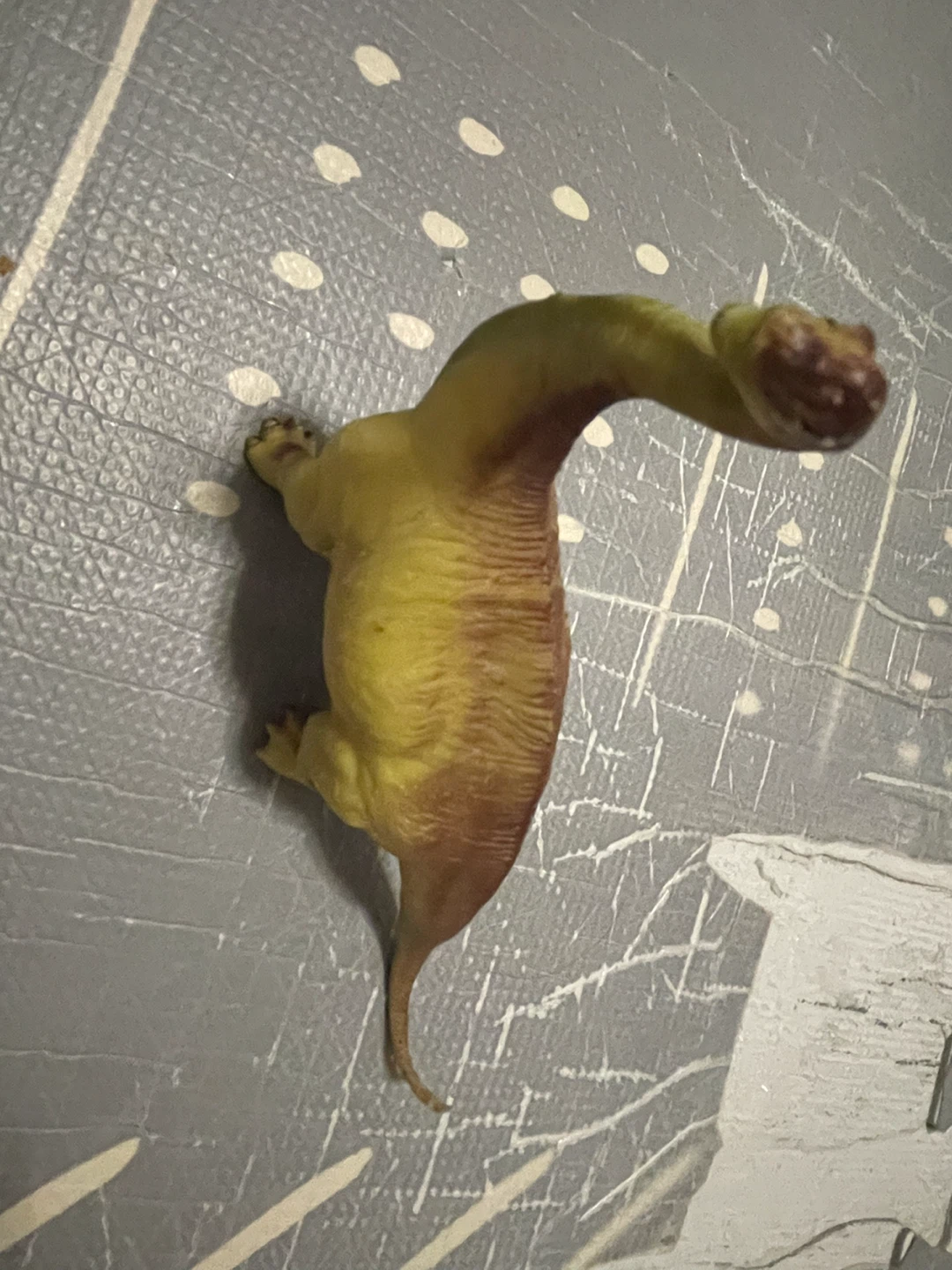 Yellow and Brown Dinosaur Toy