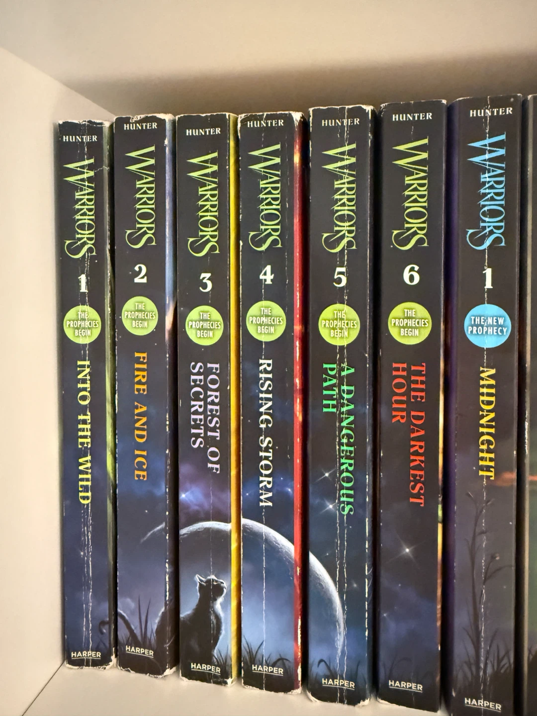 Warrior Cats Book Collection