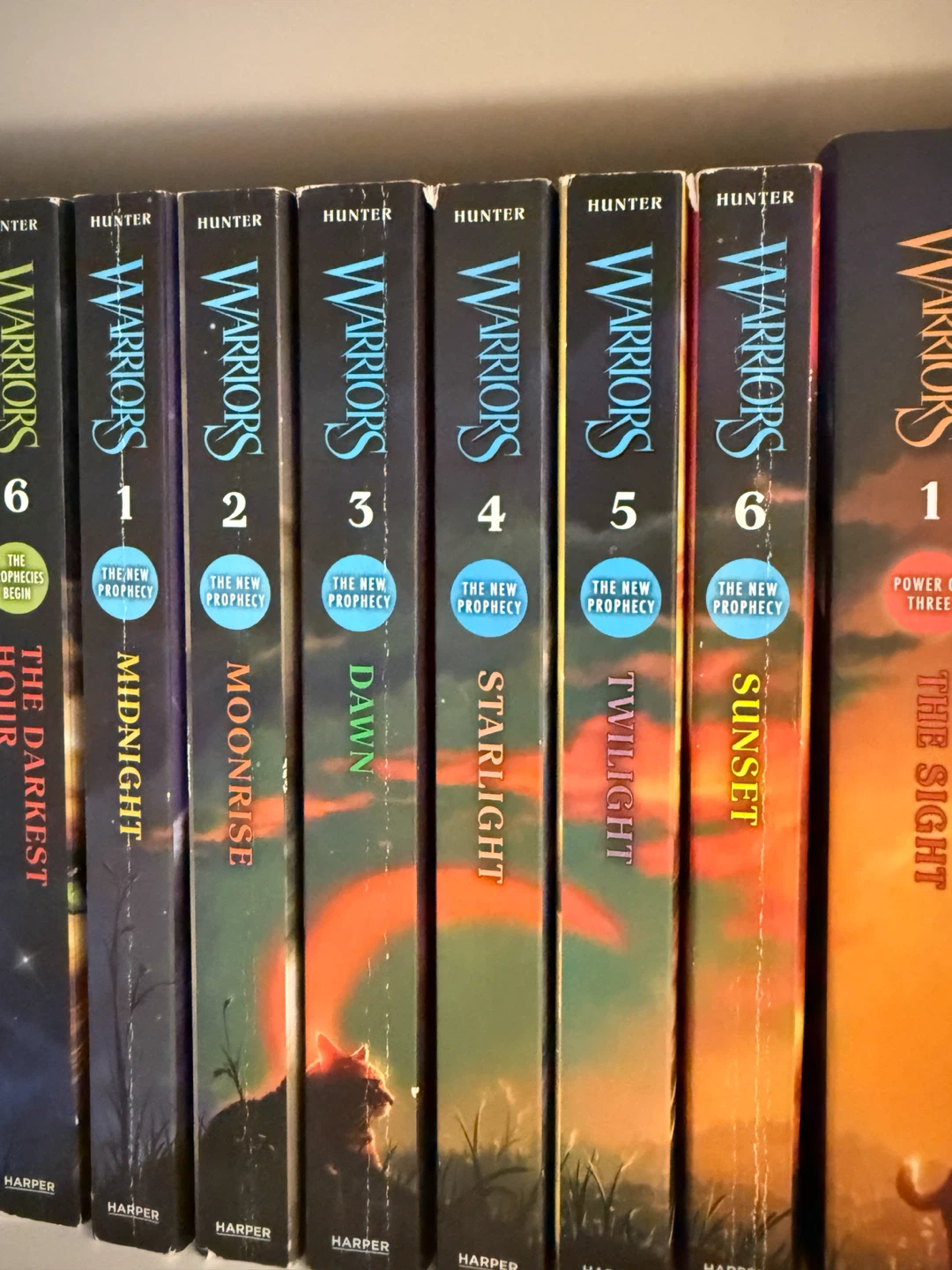 Warrior Cats Book Collection - photo 2