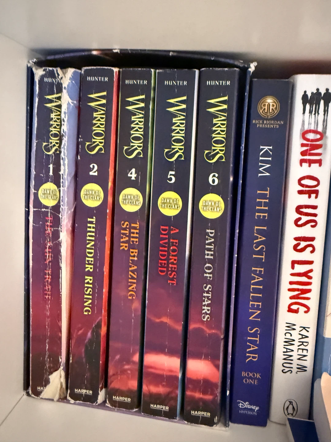 Warrior Cats Book Collection - photo 5