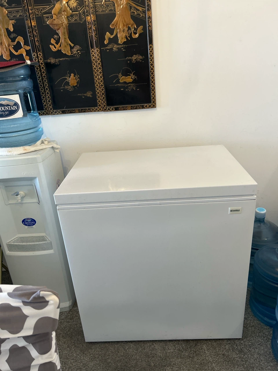 White Chest Freezer