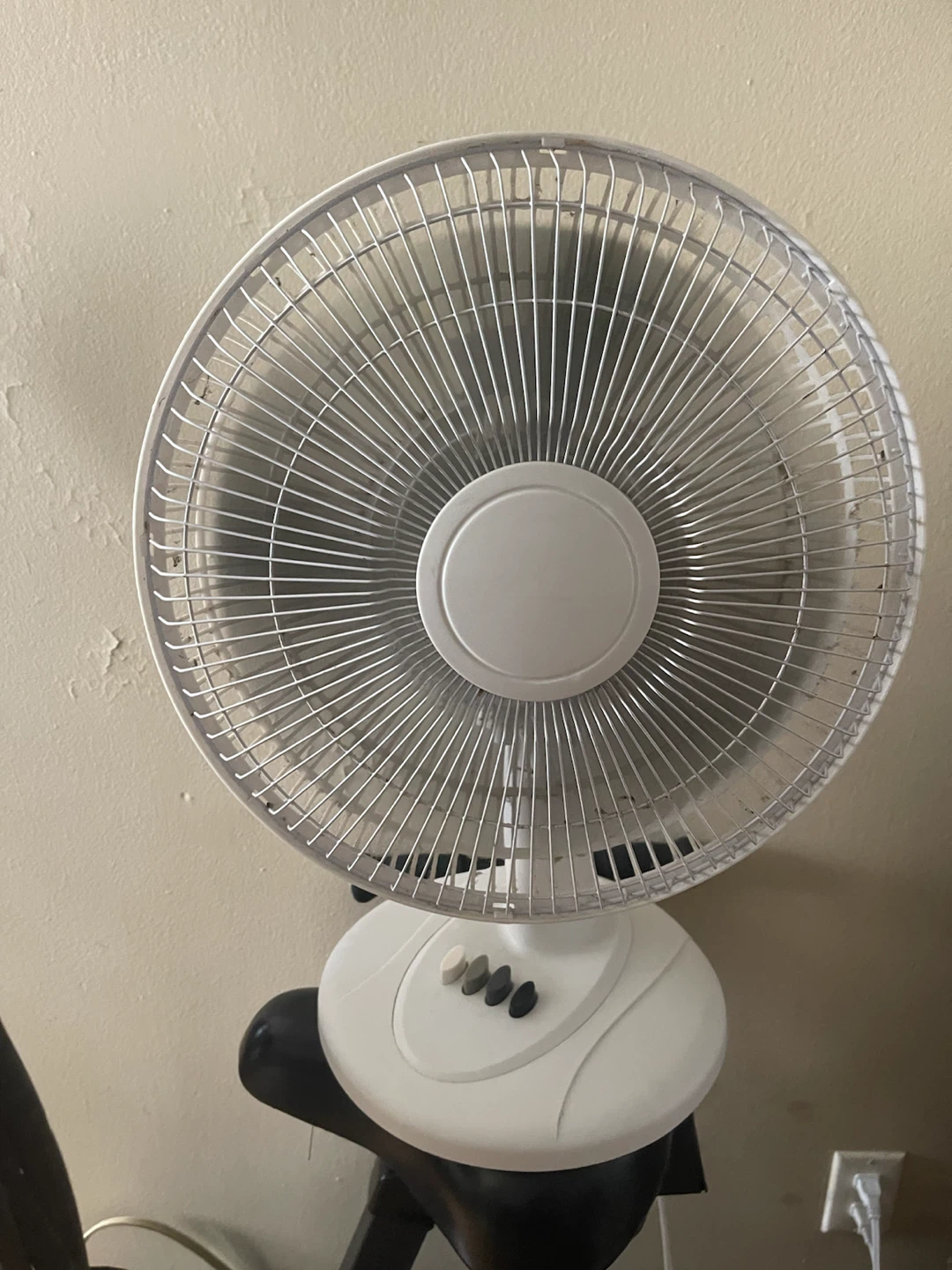 White Electric Fan