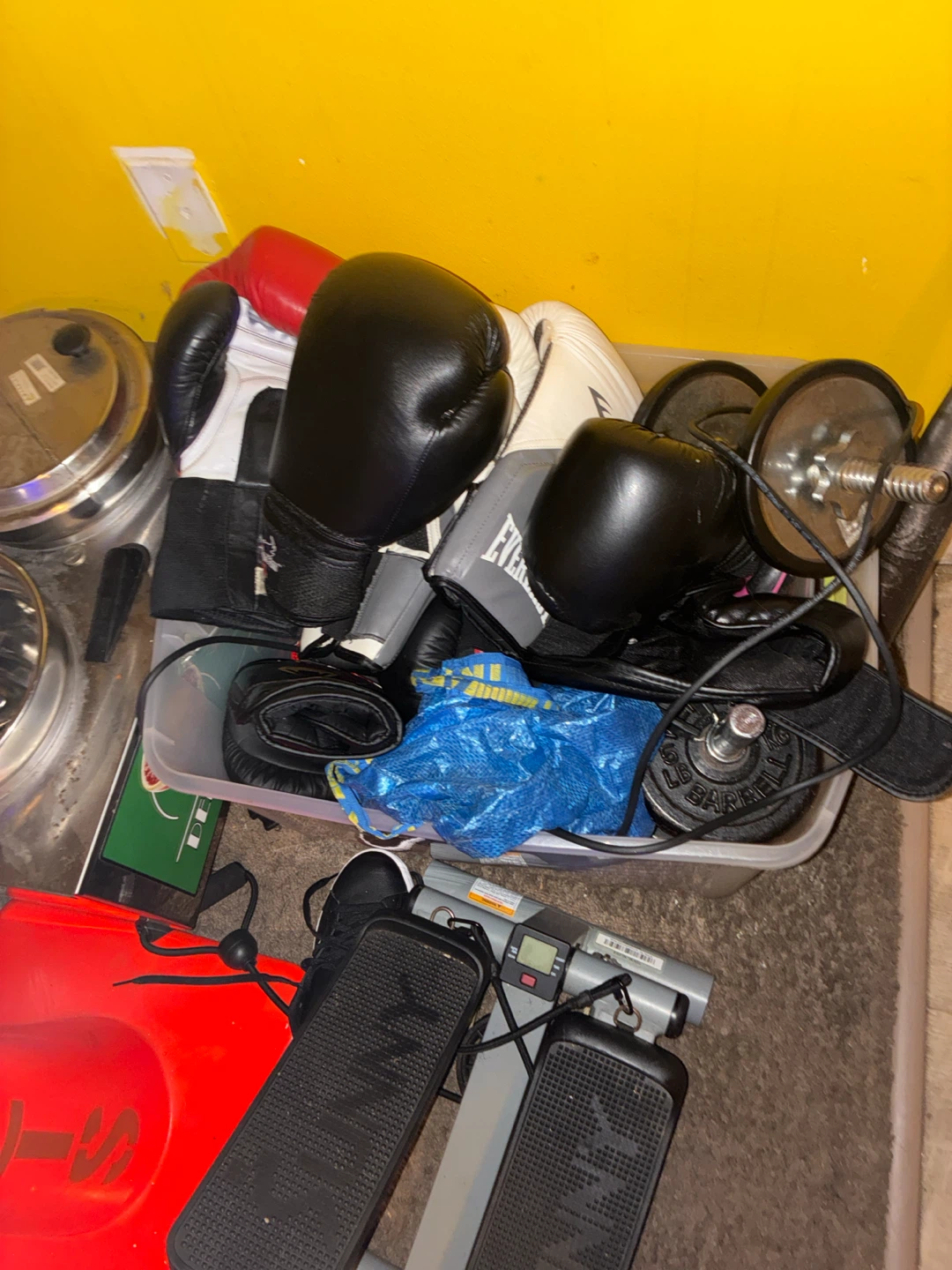 Boxing Gloves and Exercise Equipment Lot