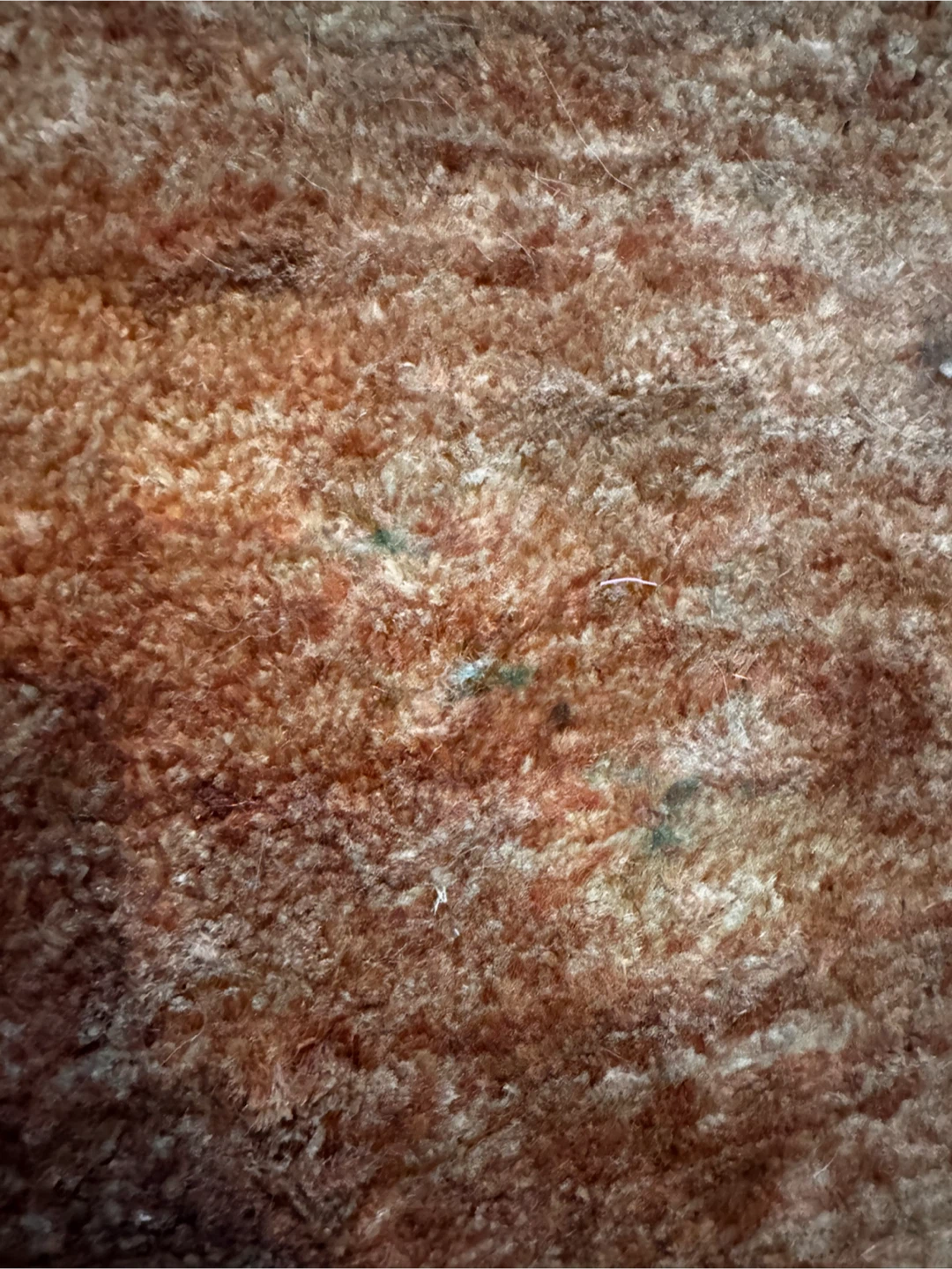 Rust EQ3 area rug - photo 2
