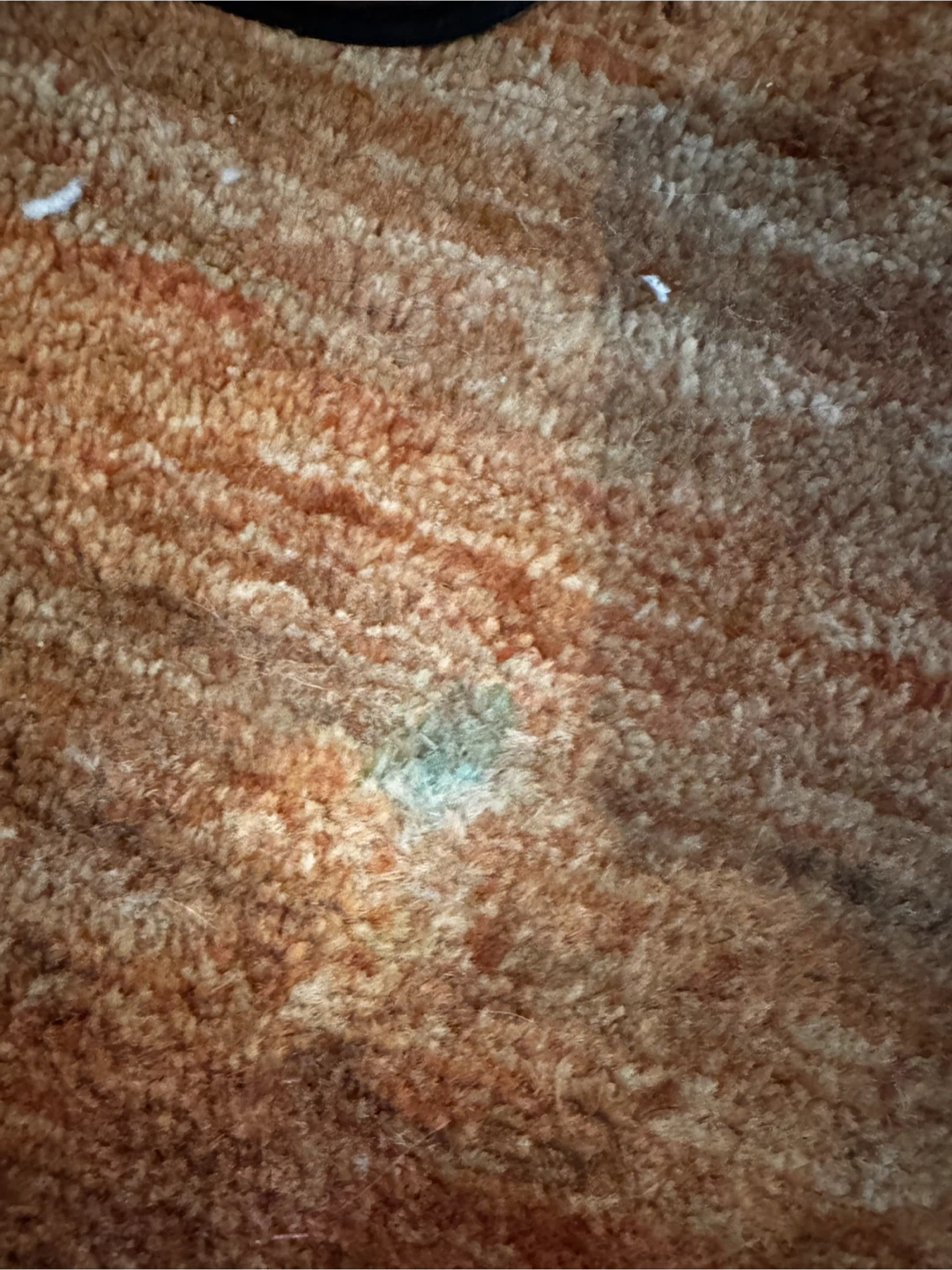 Rust EQ3 area rug - photo 3