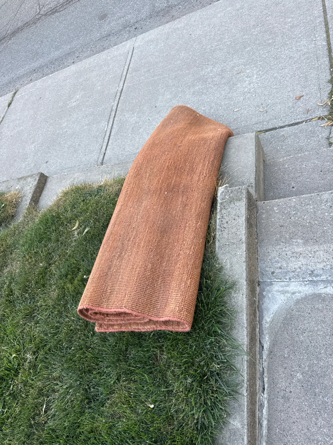 Rust EQ3 area rug - photo 5