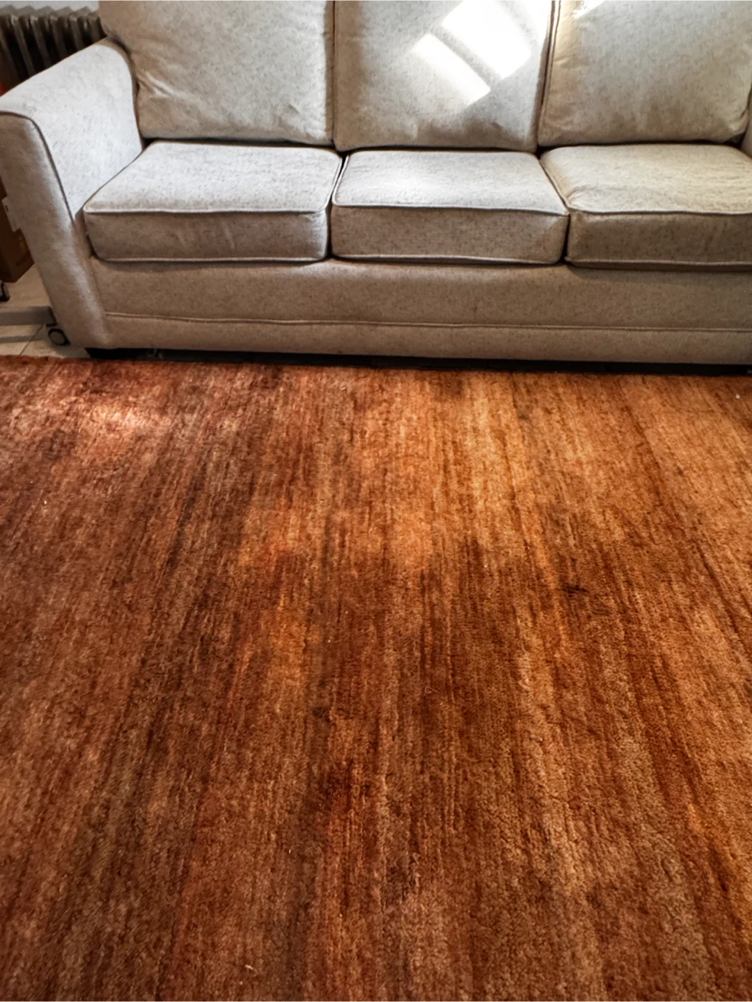 Rust EQ3 area rug