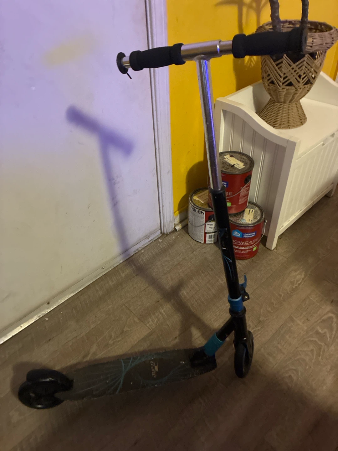Crane Kids Scooter
