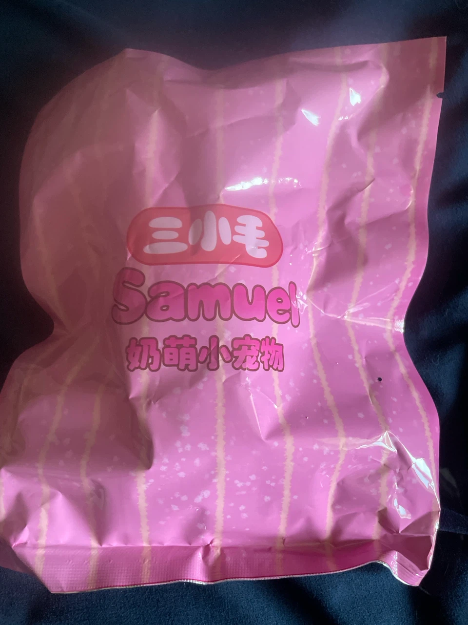 Samuel Kawaii Squishy Toy Blind Bag - photo 2