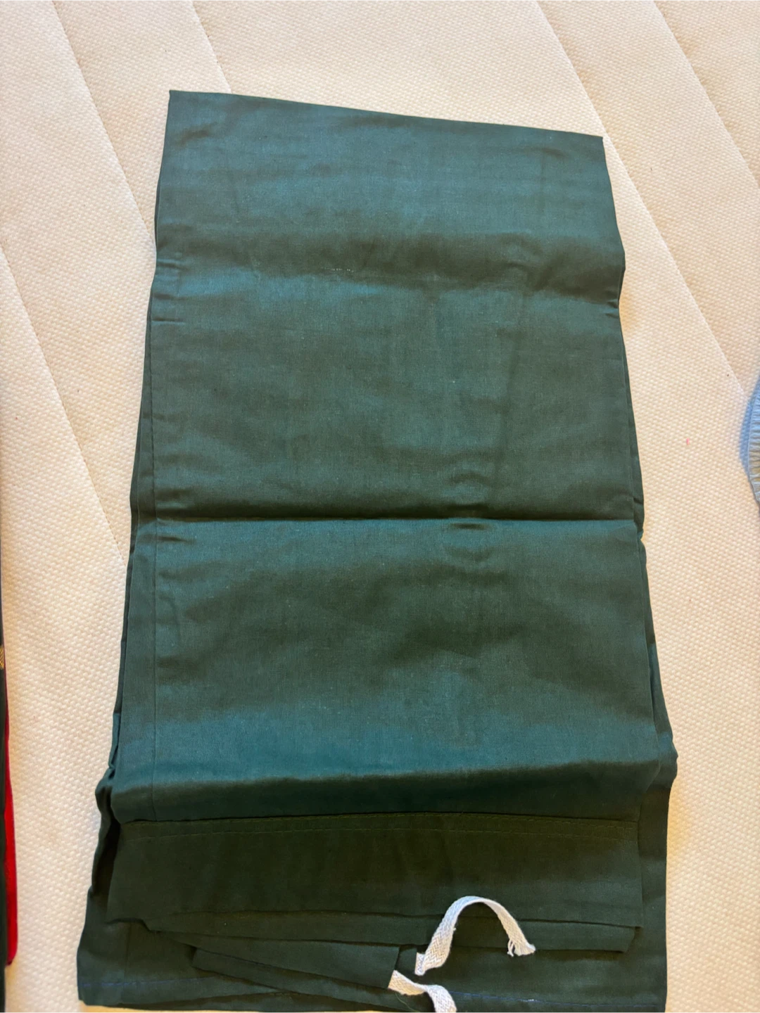 Dark Green Saree with Red and Gold Border - photo 4