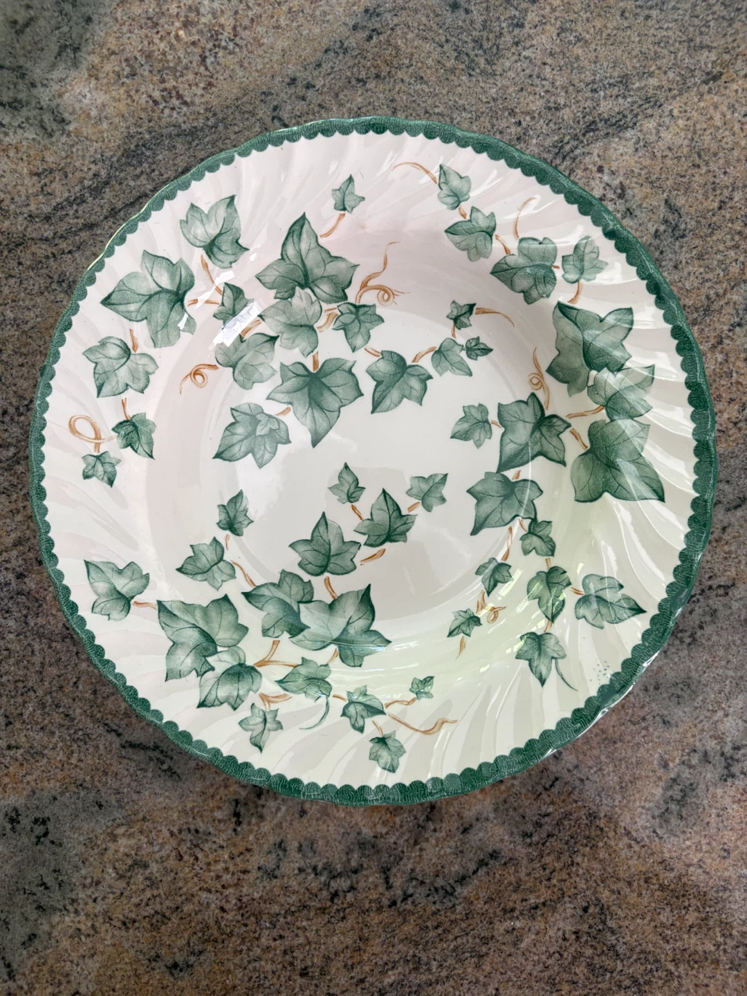 Country Vines Dishes - photo 4