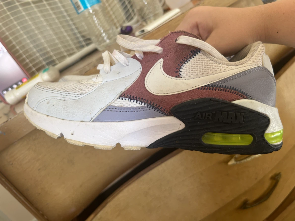 Nike Air Max Sneakers