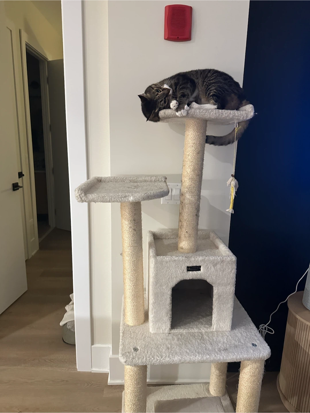 Cat Tree - photo 2