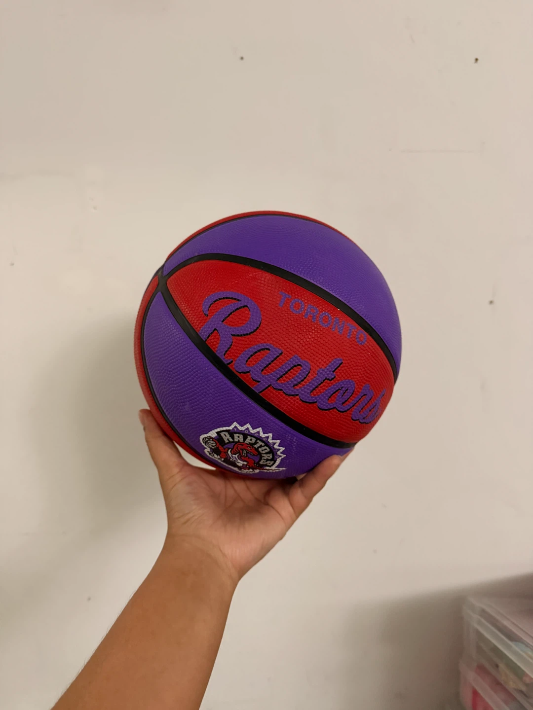 Toronto Raptors Basketball - photo 2