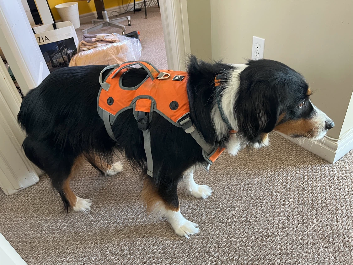 Alpha Pak 2-Piece Dog Pack (Harness + Backpack) - photo 2
