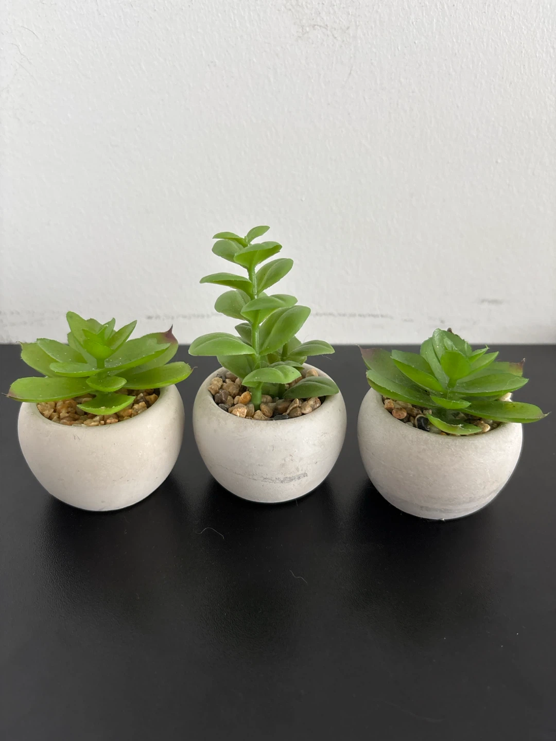 Set of 3 Faux Succulent Plants in White Pots