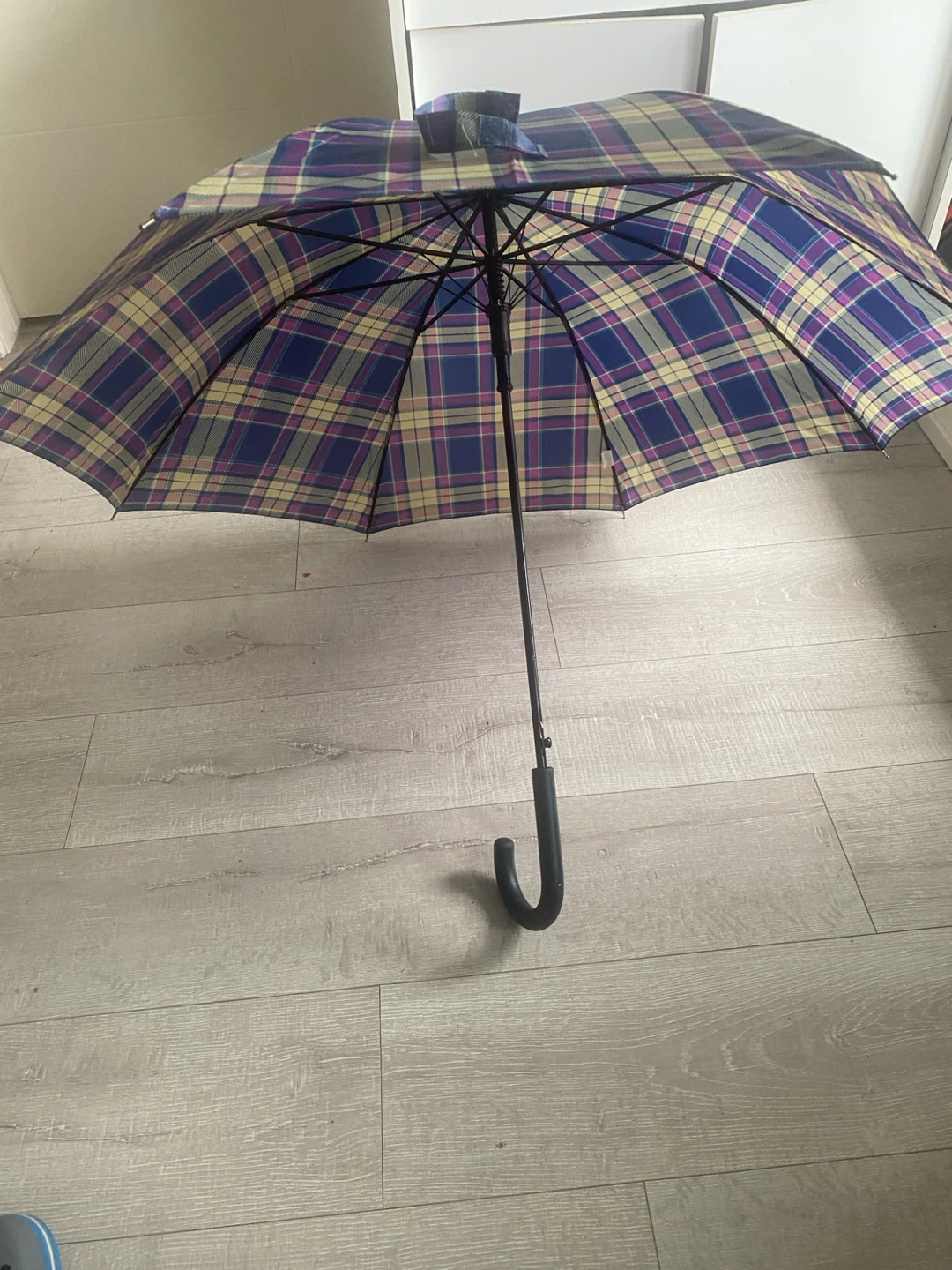 Plaid Umbrella - photo 5