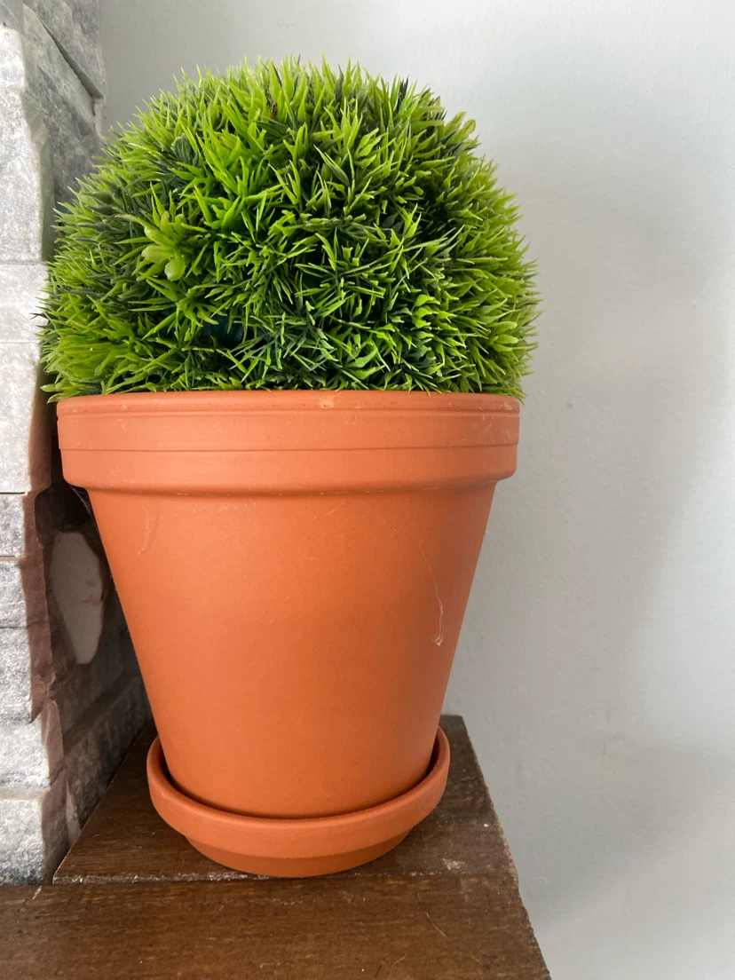 Artificial Green Plant in Terracotta Pot