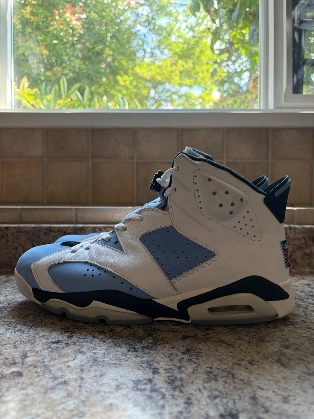 Air Jordan 6 Retro "UNC" - photo 3