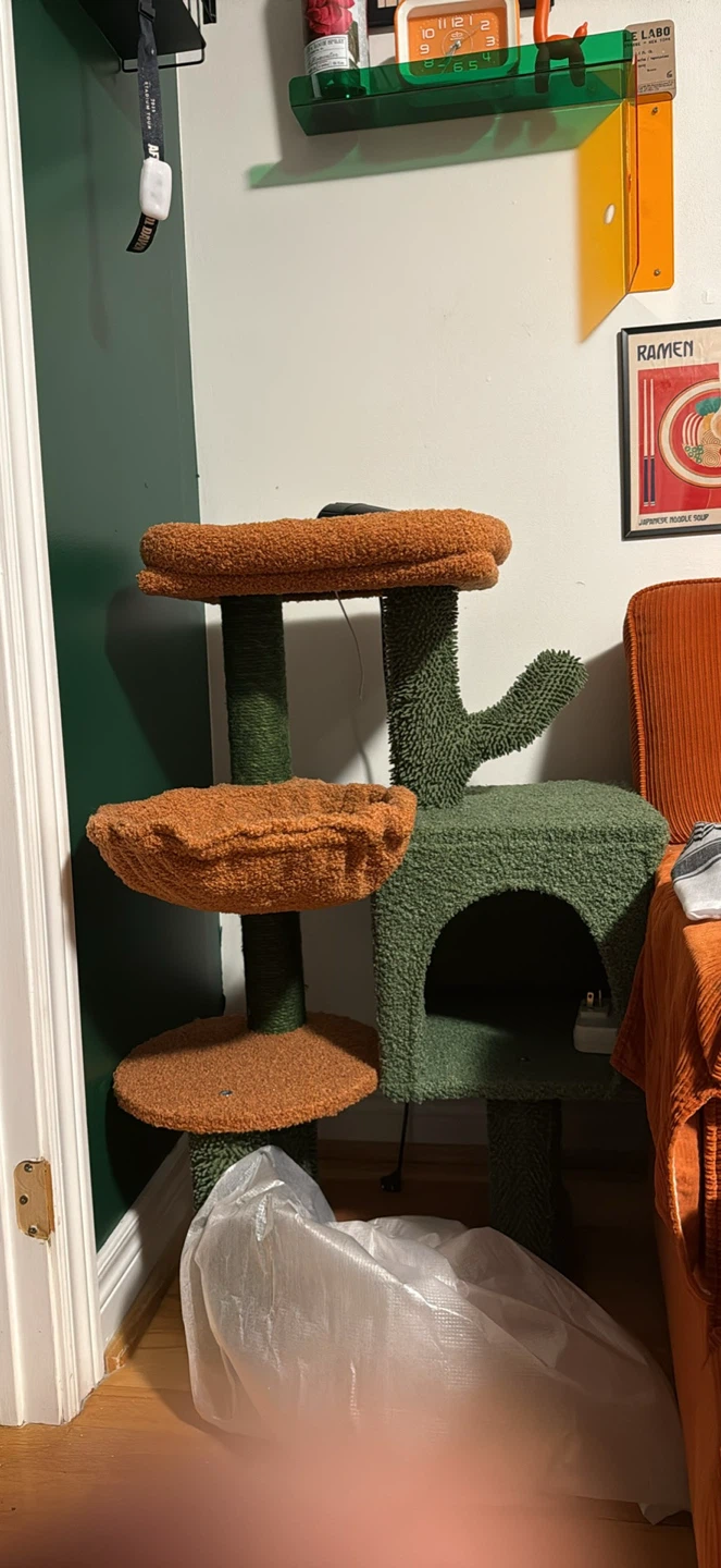 Green and Orange Cat Tree