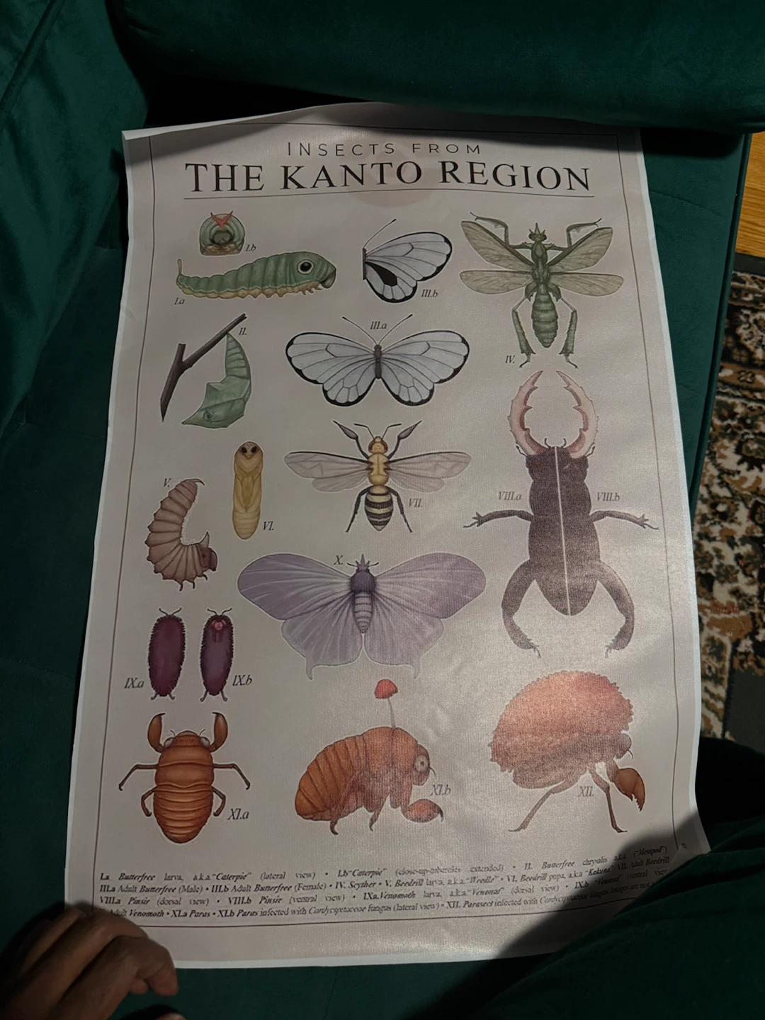 Posters