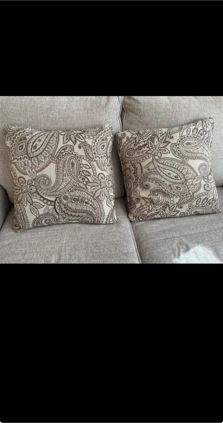 Set of 2 Decorative Throw Pillows