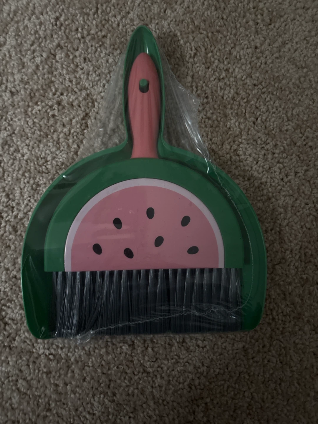Green Dustpan and Brush Set with Watermelon Design