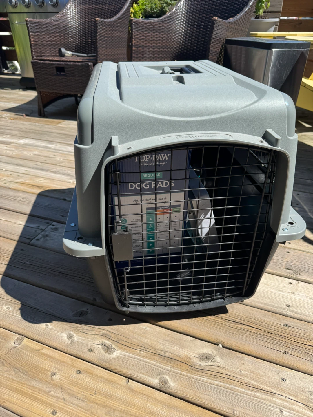 Top Paw Pet Carrier & Raised Feeder