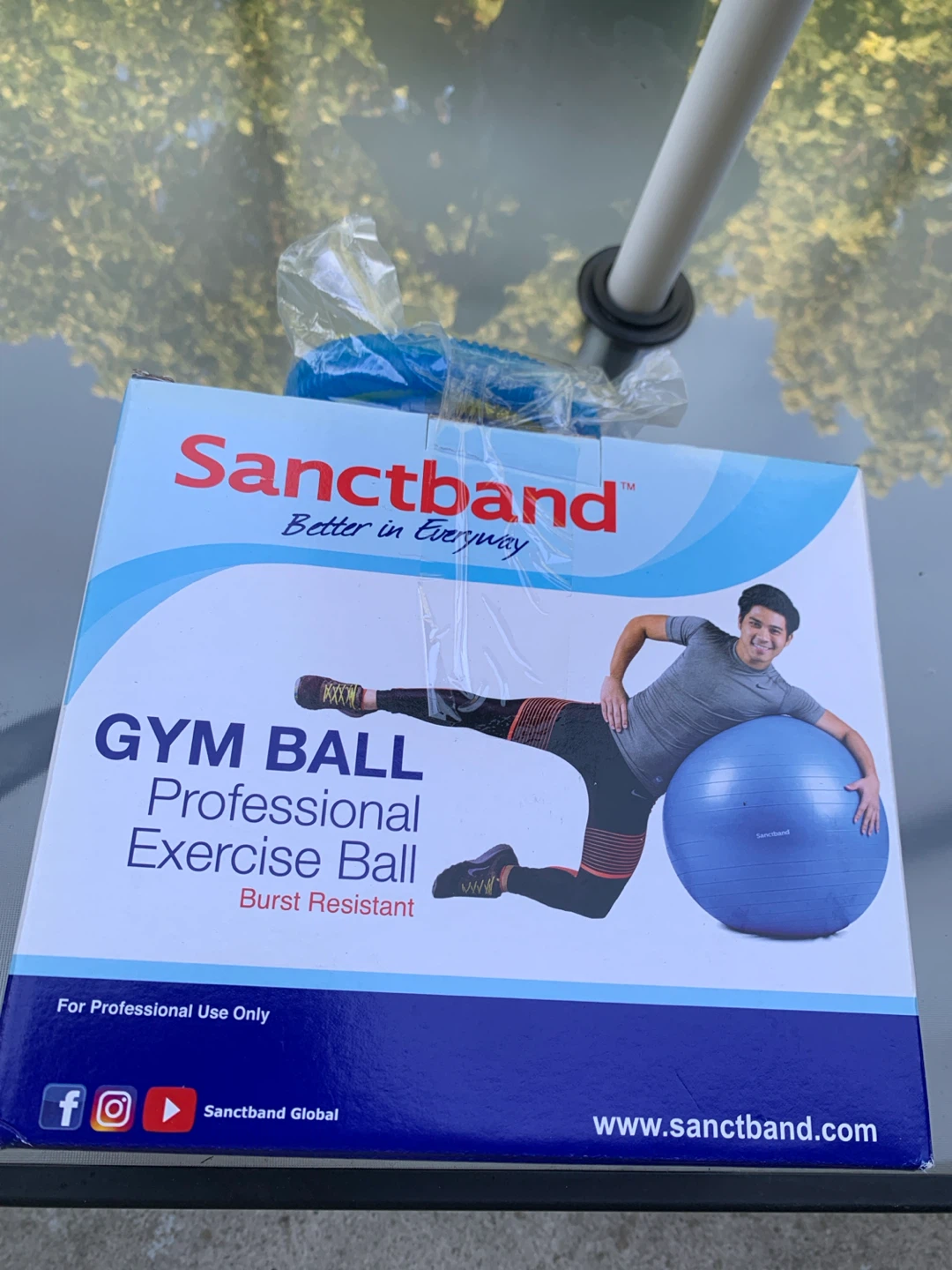 Sanctband Professional Exercise Gym Ball