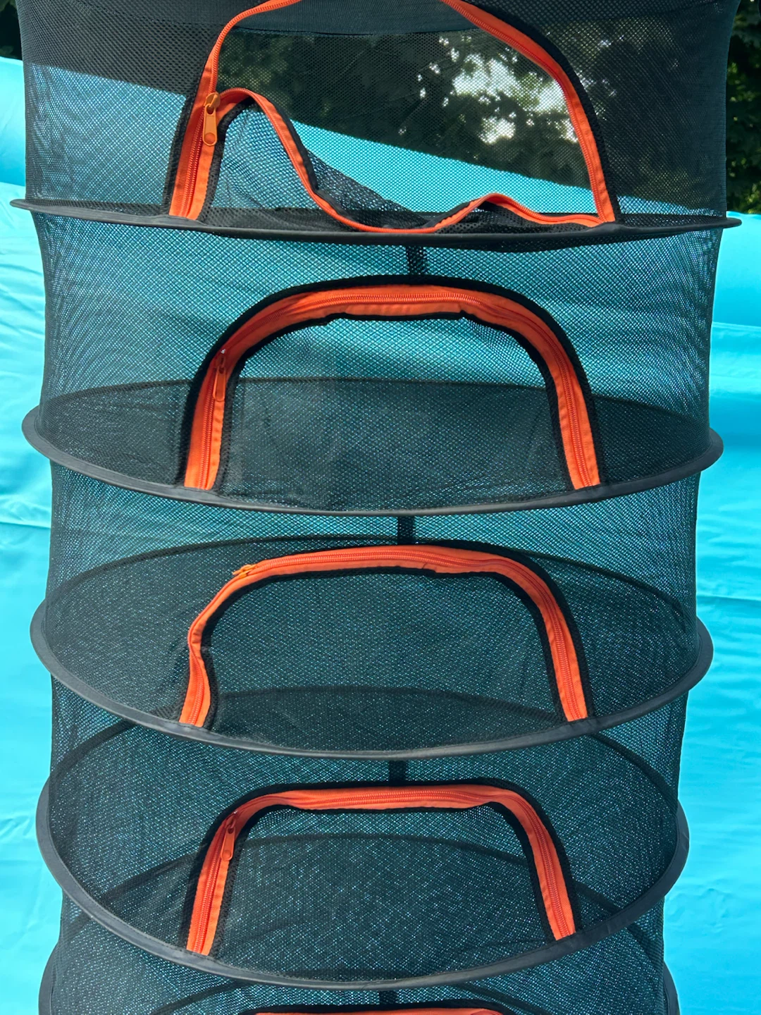 Collapsible Drying Rack