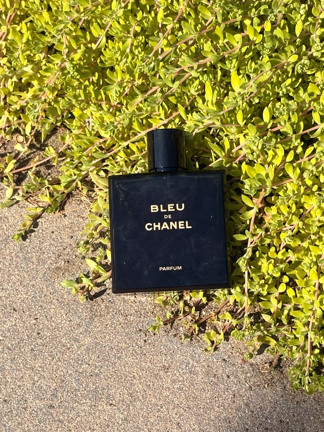 Bleu de chanel parfum 100 ml