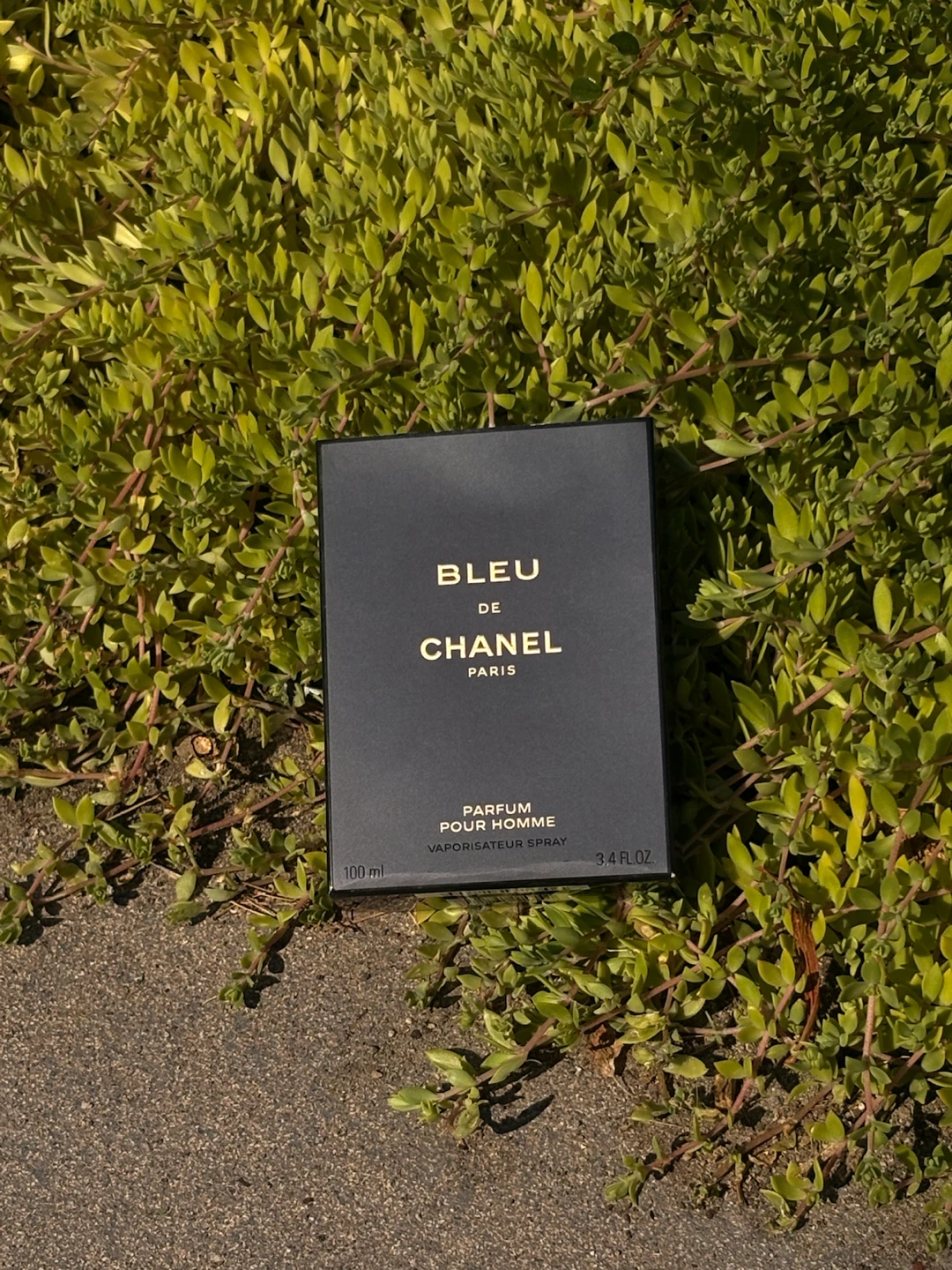 Bleu de chanel parfum 100 ml - photo 2