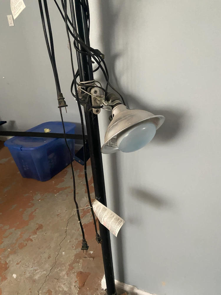 Photography Lighting Stand with 2 Lights - photo 2