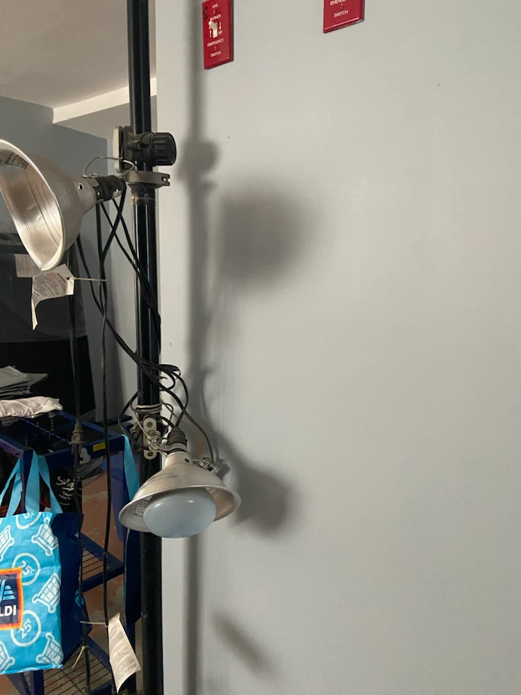 Photography Lighting Stand with 2 Lights - photo 3