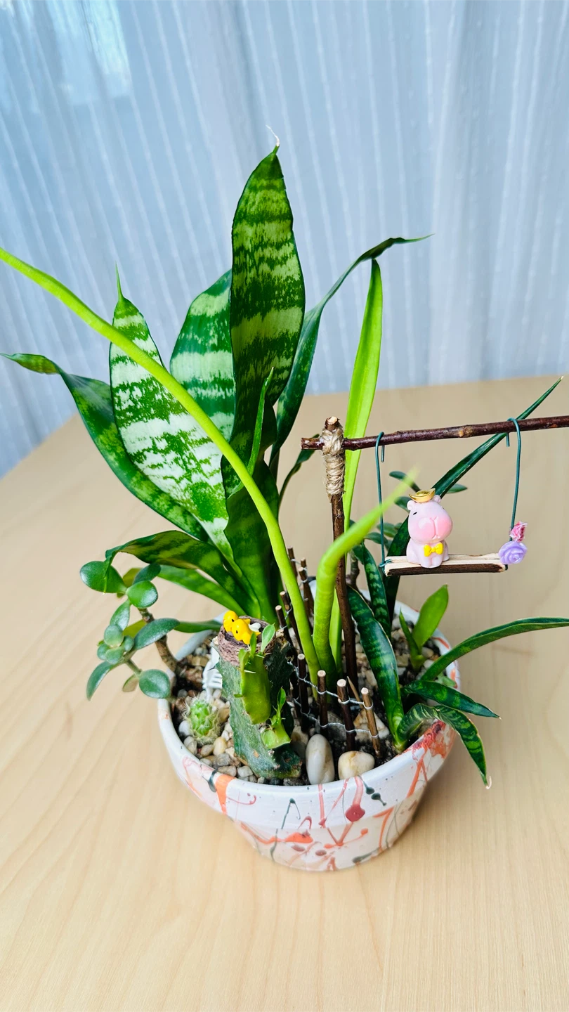 Cute plant arrangement in a hand painted pot