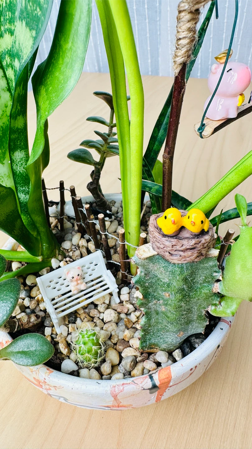 Cute plant arrangement in a hand painted pot - photo 3